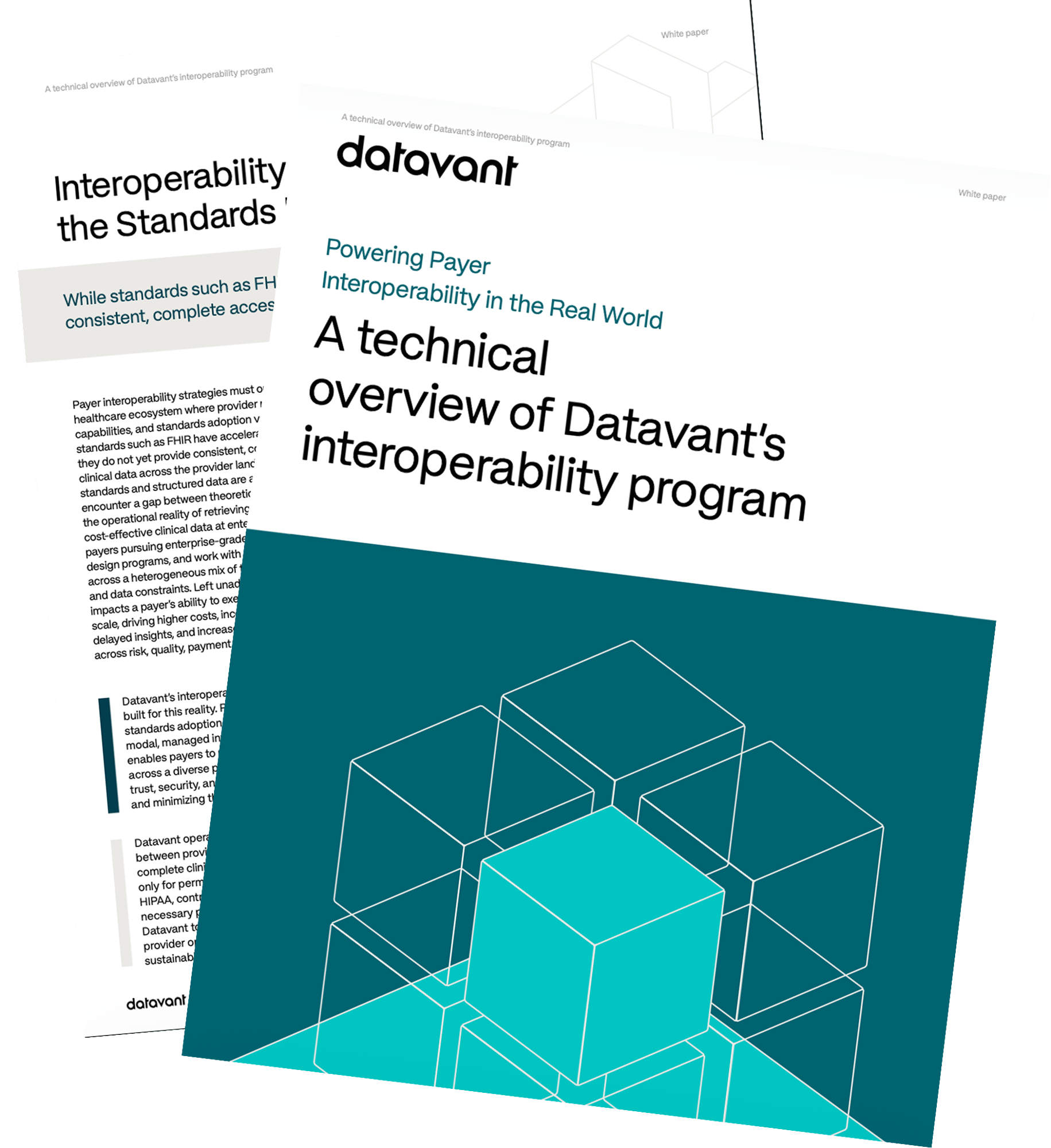 Interoperaility_whitepaper